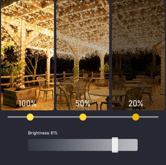 Summer Nights String Lights Smart Dimmer Remote Programmable for Indoor Outdoor - Picture 3 of 7